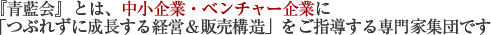 『青藍会』とは、中小企業・ベンチャー企業に「つぶれずに成長する経営&販売構造」をご指導する専門家集団です